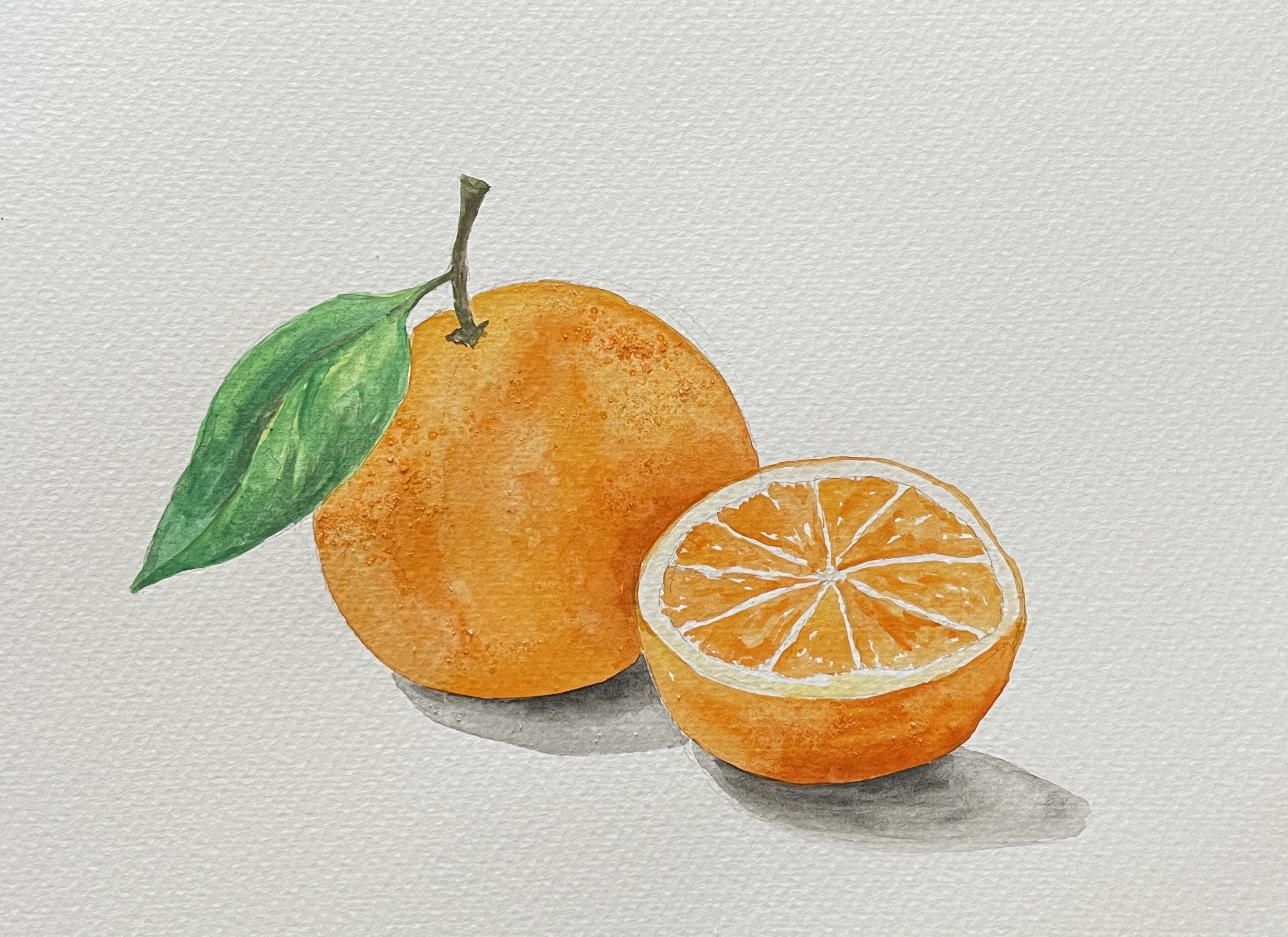Orange Still Life with Watercolors